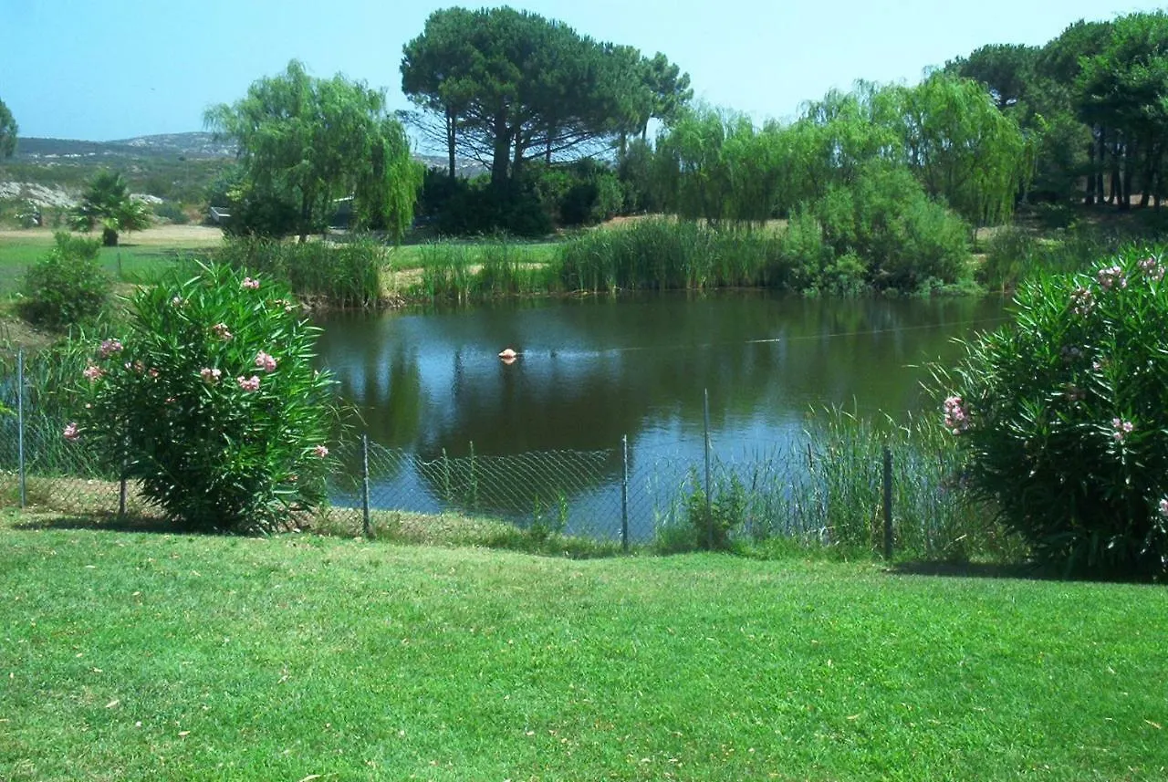 Сasa de vacaciones Villa Palmtreehouse-Sardiniaencharming&Relaxing Olbia Italia