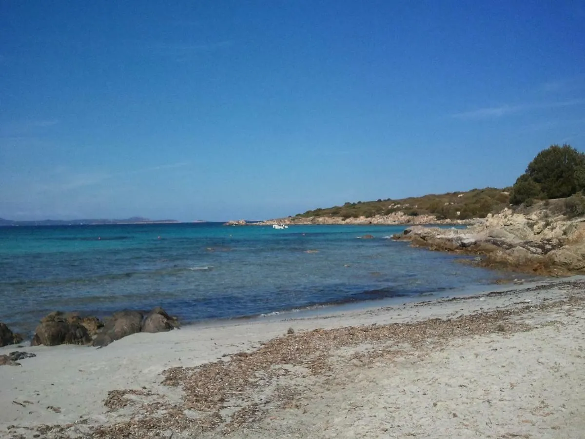 Сasa de vacaciones Villa Palmtreehouse-Sardiniaencharming&Relaxing Olbia